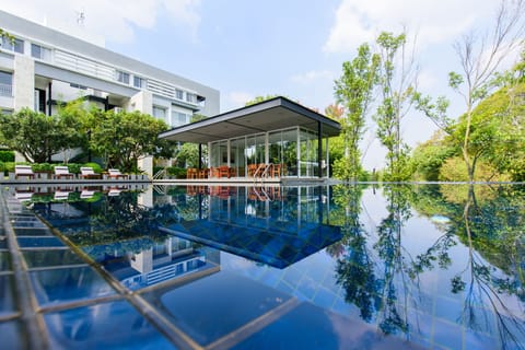 Outdoor pool, sun loungers