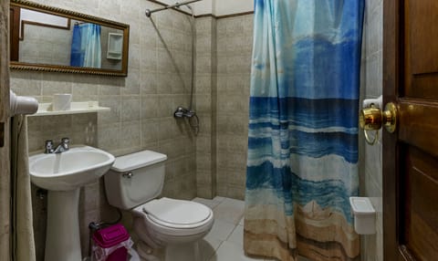 Economy Triple Room | Bathroom | Shower, rainfall showerhead, designer toiletries, hair dryer