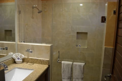 Standard Room, Ocean View | Bathroom | Shower, free toiletries, hair dryer, towels