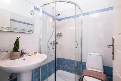 Superior Room | Bathroom | Shower, free toiletries, hair dryer, towels