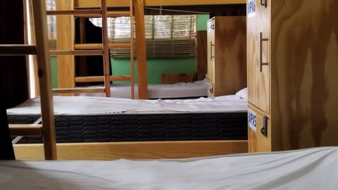 Shared Dormitory, Mixed Dorm | Blackout drapes, free WiFi, bed sheets