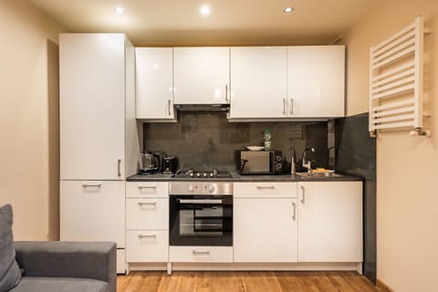 Superior Apartment | Private kitchen | Fridge, microwave, oven, stovetop