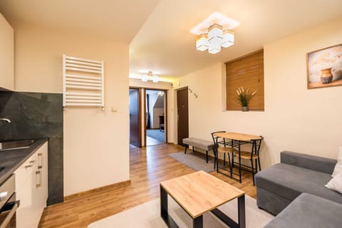 Superior Apartment | Living room | Flat-screen TV