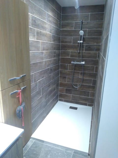 Old farmhouse renovated in a contemporary style House in Auvergne-Rhône-Alpes