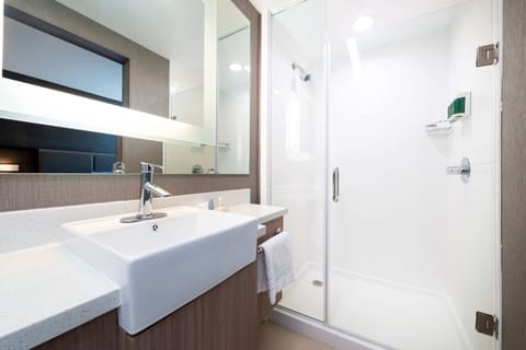 Suite, 1 King Bed with Sofa bed | Bathroom | Designer toiletries, hair dryer, towels, soap