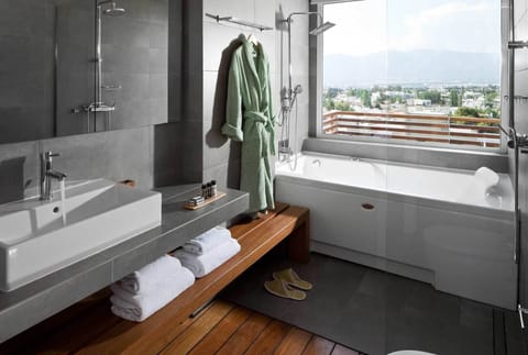 Double Suite | Bathroom | Shower, eco-friendly toiletries, hair dryer, bathrobes