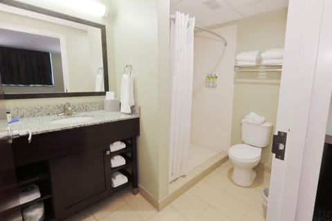 Combined shower/tub, eco-friendly toiletries, hair dryer, towels