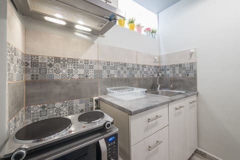 Basic Apartment | Private kitchen | Fridge, microwave, stovetop, espresso maker