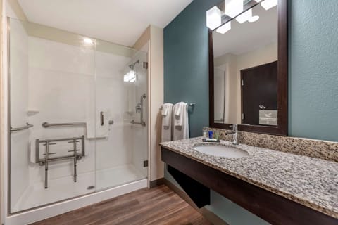 Room, 1 King Bed, Accessible, Non Smoking | Bathroom | Shower, hair dryer