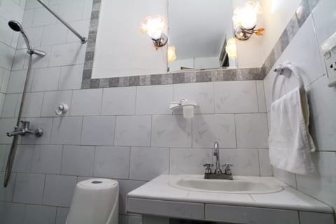 Classic Studio | Bathroom | Shower, hair dryer, towels