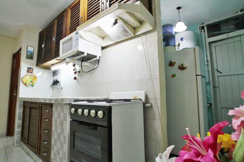 Classic Studio | Private kitchen | Fridge, microwave, oven, stovetop