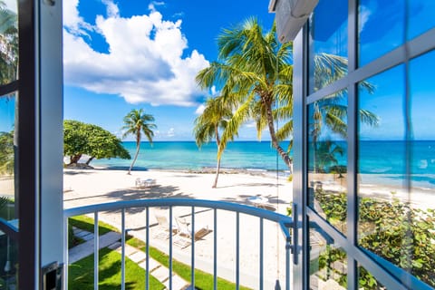 Paradise Found Oceanfront | Living area | 50-inch flat-screen TV with cable channels, TV