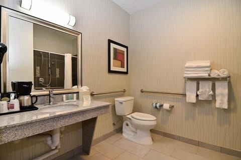 Suite, 1 King Bed with Sofa bed, Accessible, Non Smoking | Bathroom | Shower, hair dryer, towels