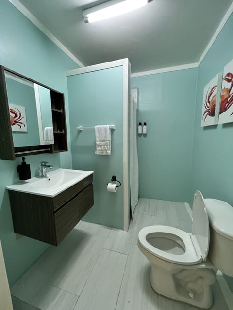 Elite Double Room | Bathroom | Shower, towels