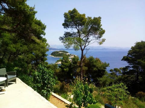 View