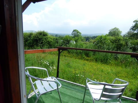 View across fields and Preseli Hills
