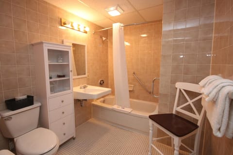 Combined shower/tub, free toiletries, hair dryer, towels