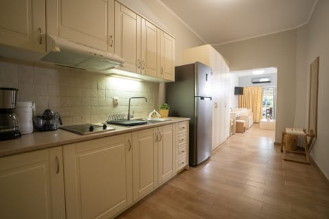 Standard Studio | Private kitchen | Fridge, electric kettle