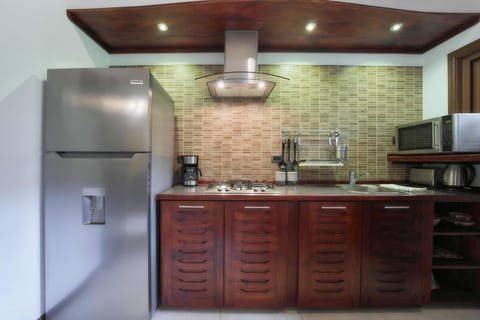 Premium Apartment | Private kitchen | Full-size fridge, coffee/tea maker, freezer