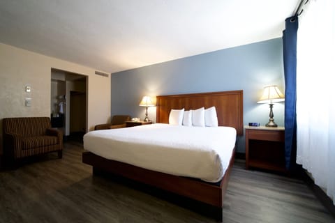 Standard Room, 1 King Bed, Non Smoking | Premium bedding, pillowtop beds, individually decorated