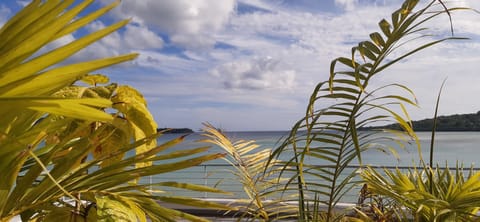 Beach/ocean view