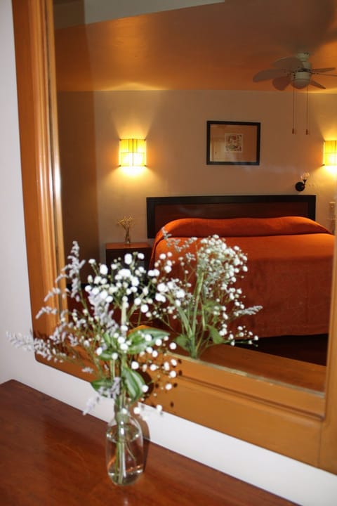 Superior Room | Premium bedding, in-room safe, individually furnished, desk