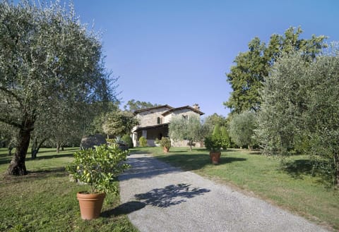 Building Exterior, Garden