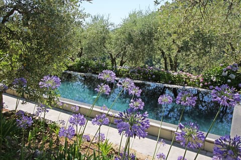 Garden, Pool