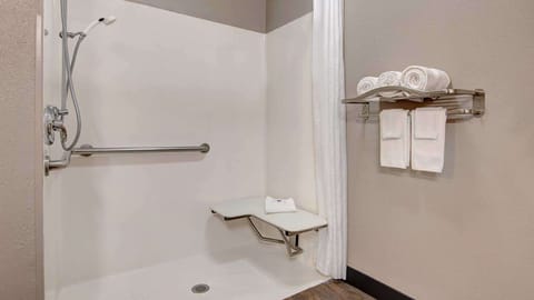Standard Suite, 1 Queen Bed, Accessible, Non Smoking | Accessible bathroom