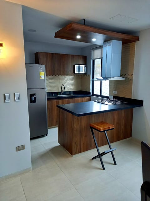 Deluxe Apartment | Private kitchen | Fridge, microwave, stovetop, coffee/tea maker