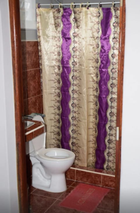 Basic Single Room, Multiple Beds, | Bathroom | Shower, free toiletries, hair dryer, towels