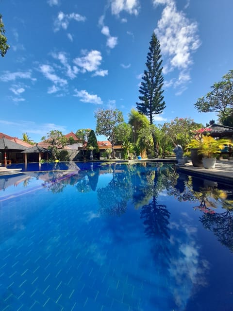 Outdoor pool, open 8:00 AM to 8:00 PM, sun loungers