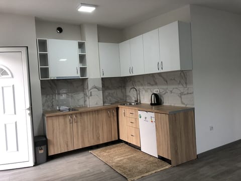 Panoramic Apartment | Private kitchen | Fridge, oven, stovetop, electric kettle