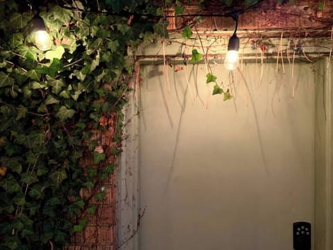 String lights to enjoy the backyard!!