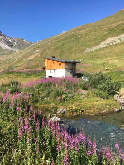 Chalet in the summer