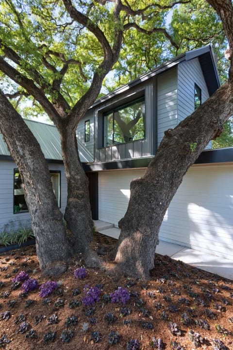 The House of Yes- Urban Tree House (57)