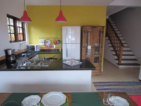 Basic Chalet | Private kitchen | Fridge, microwave, stovetop, blender