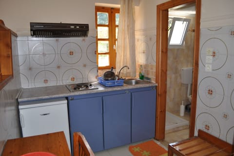 Studio (2 Adults) | Private kitchen | Full-size fridge, coffee/tea maker