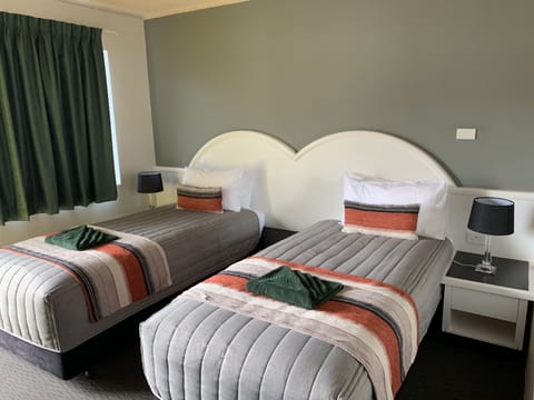 Deluxe Twin Room | Blackout drapes, iron/ironing board, free WiFi, bed sheets