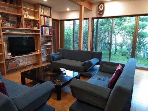 Private Vacation Home | Living area | Flat-screen TV, toys, books