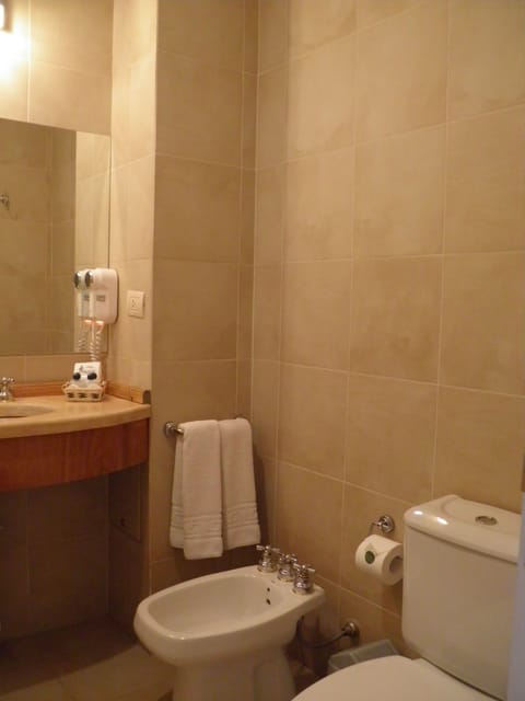 Double Room, Lake View | Bathroom | Rainfall showerhead, free toiletries, hair dryer, bidet