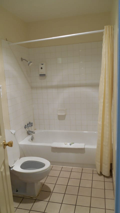 Combined shower/tub, free toiletries, hair dryer, towels