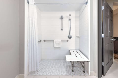 Room, 1 King Bed, Accessible, Non Smoking (Roll-In Shower) | Accessible bathroom