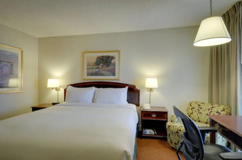 Standard Room, 1 King Bed | Premium bedding, down comforters, desk, blackout drapes