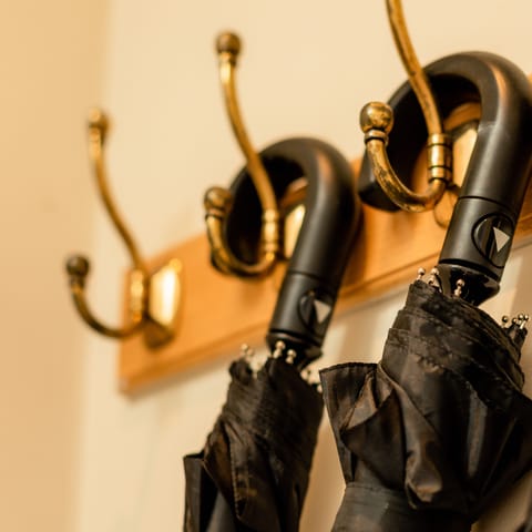 50-inch flat-screen TV with satellite channels, TV