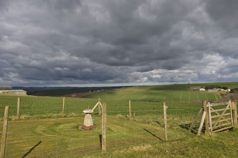 Views from back garden