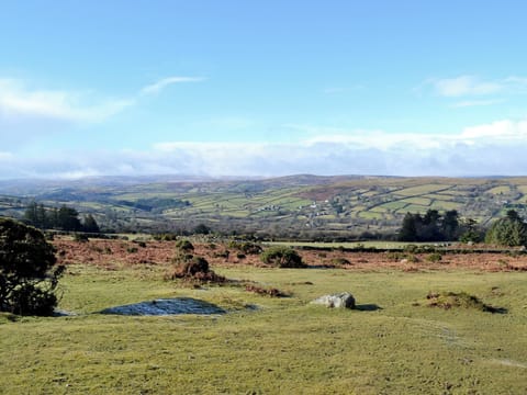 Dartmoor countryside