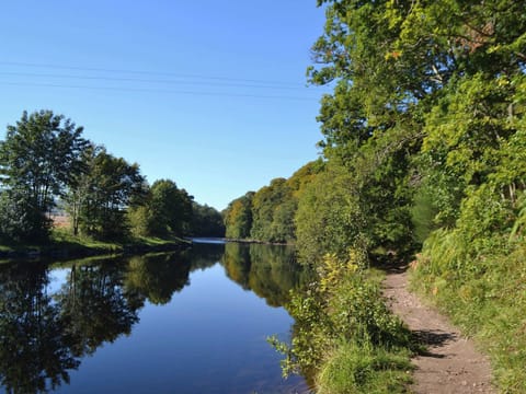 Surrounding area | Ruberslaw Cottage, Tree Tops, Crieff