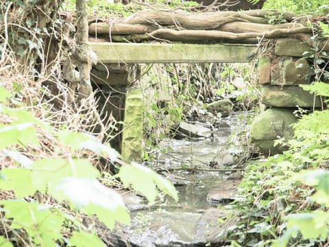 Natural garden space | The Brewers Cottage - Roddenloft, Mauchline