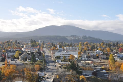 City view from property